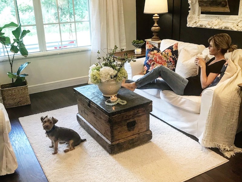 Why I Chose Stylish, Pet-Friendly Carpet